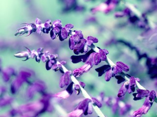 99245a07d1d5ffe4411f0438013635ea