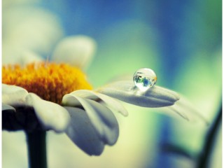 Tears_of_memory_by_dev1n