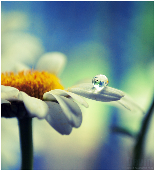 tears_of_memory_by_dev1n