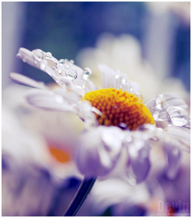 water_cascade_by_dev1n