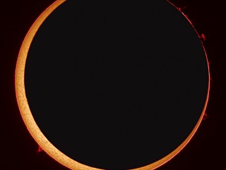 annular_seip_big - copia