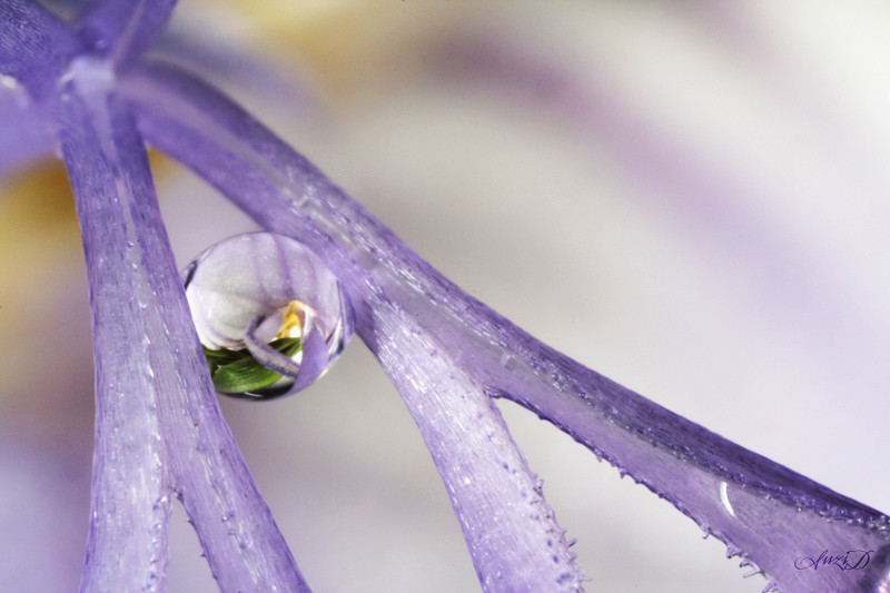 f52428d2dbed6464c71a467ad7ce0cfe