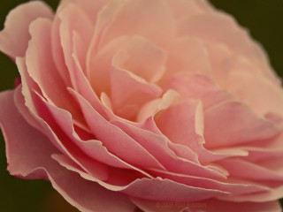 fb5669b80eeed73a7350859a59cce19f