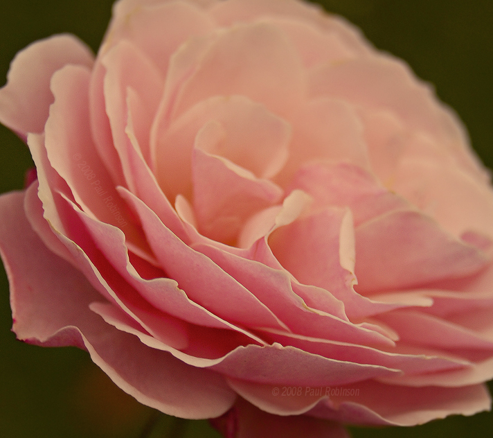 fb5669b80eeed73a7350859a59cce19f