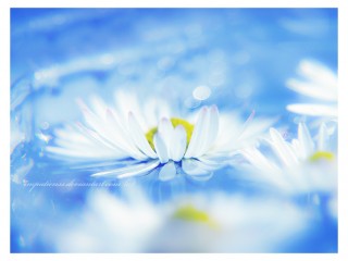 pastel07_by_impatienss