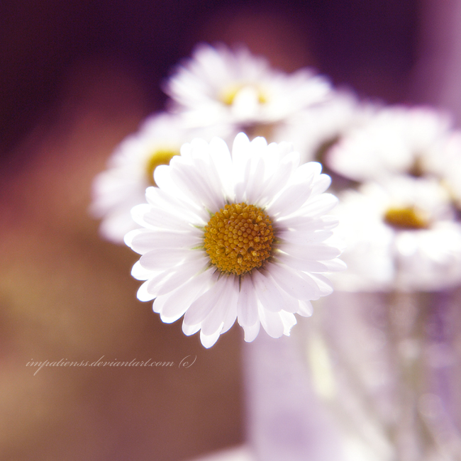 saturday_by_impatienss