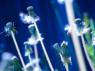 sleeping_to_dream__by_intricate_illusion