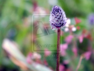 to_the_top_by_hope05