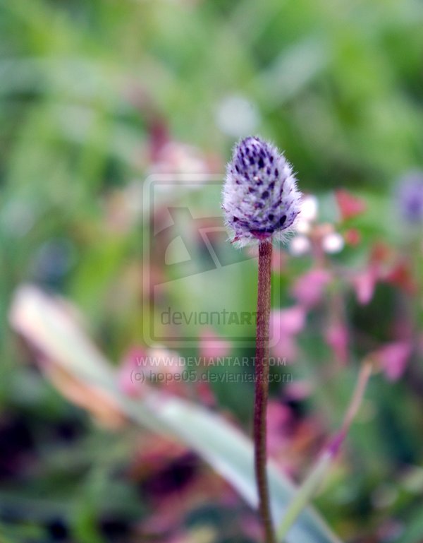 to_the_top_by_hope05