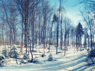 winter_rodopi2 - copia