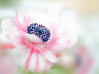 10708635_603849089721428_7991333868176389861_o