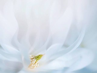 11129550_681726941933642_7361931203543734237_n