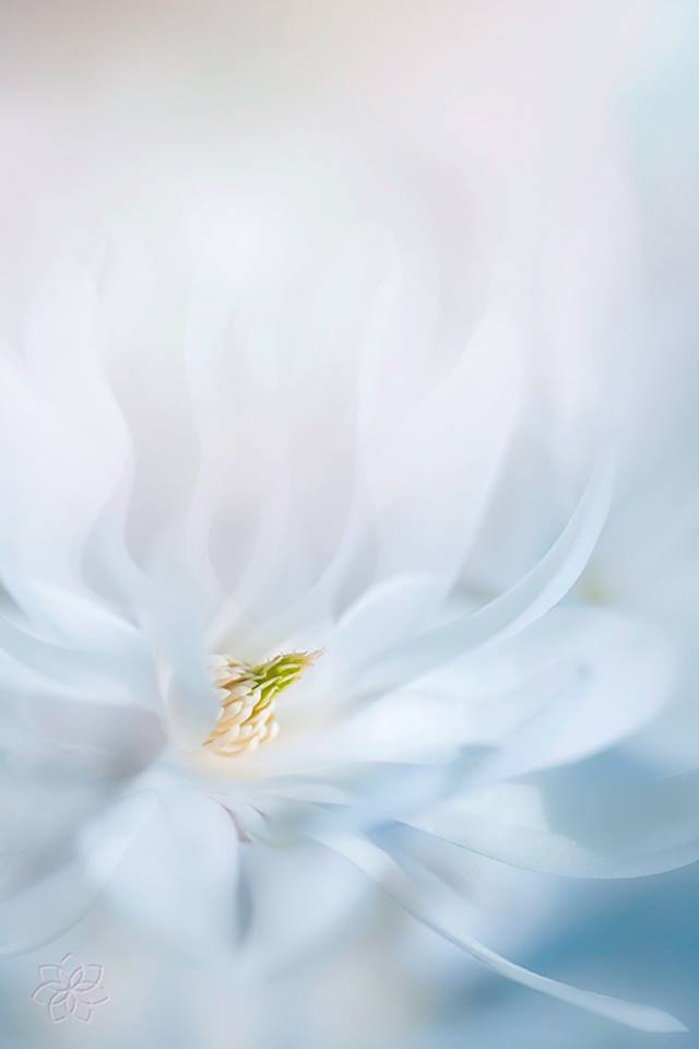 11129550_681726941933642_7361931203543734237_n