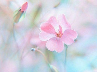 FB_IMG_1501140836152