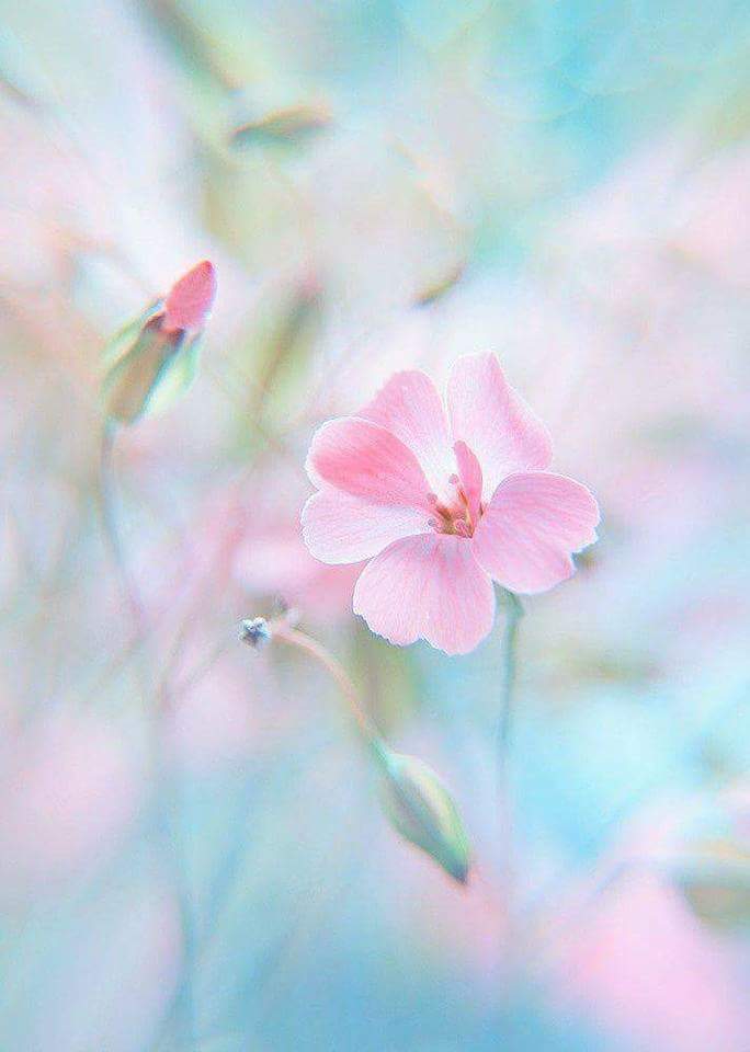 fb_img_1501140836152