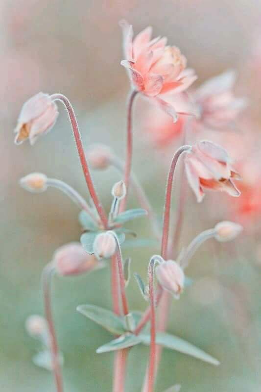 fb_img_1501831574592