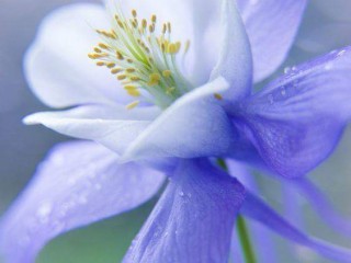 FB_IMG_1524551002716