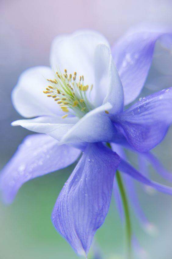 fb_img_1524551002716