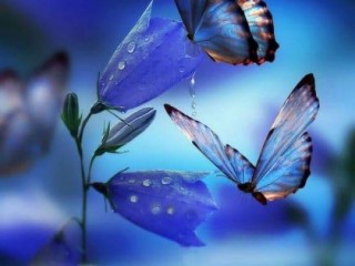 FB_IMG_1534326180235