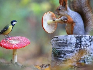 FB_IMG_1540275824178