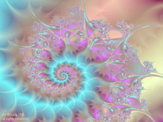 flamboyance