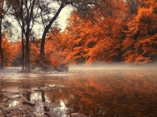275915-landscape-nature-fall-river-Greece-forest-mist-water-trees-amber-736x459