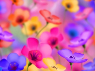 Colorful_Flowers_desktop_backgrounds_pictures
