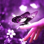 purple-butterfly-on-hand