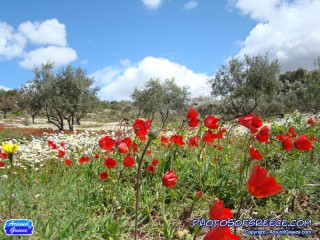 spring-pelion-greec