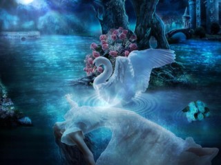 Swan-Lake-night-blue-moon-flower-lady-Desktop-Wallpaper-HD-1600x1200