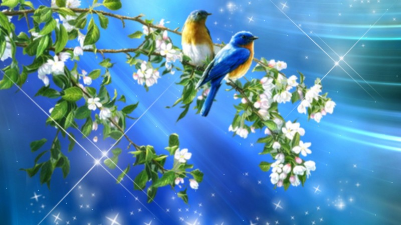 other-cute-birds-fantasy-tree-flowers-blue-couple-free-desktop-wallpaper