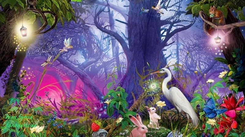 13934692_1009357192496709_6884006400714888455_n