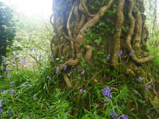 12768194_10153451191498297_6185022234561122571_o