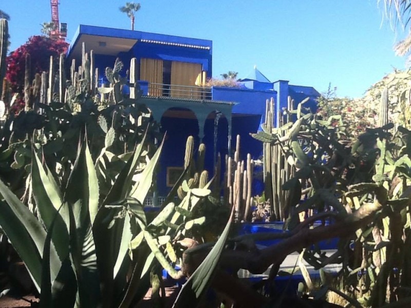 12784719_1665456373719941_2115293842_n