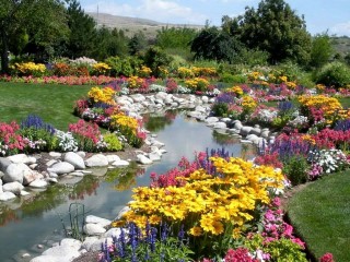 12928331_1316292078386306_5096975772552526809_n