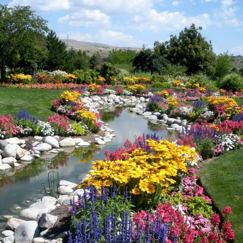 12928331_1316292078386306_5096975772552526809_n