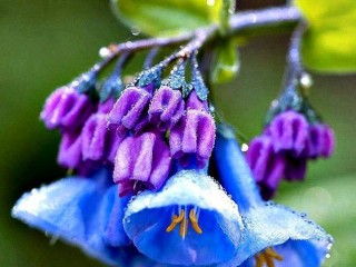 13083145_987224541333013_5553482304645614154_n