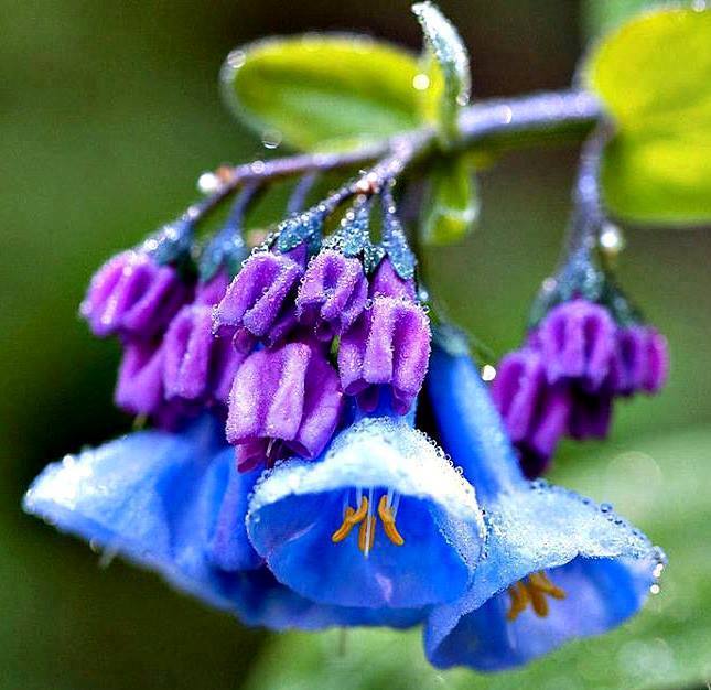 13083145_987224541333013_5553482304645614154_n