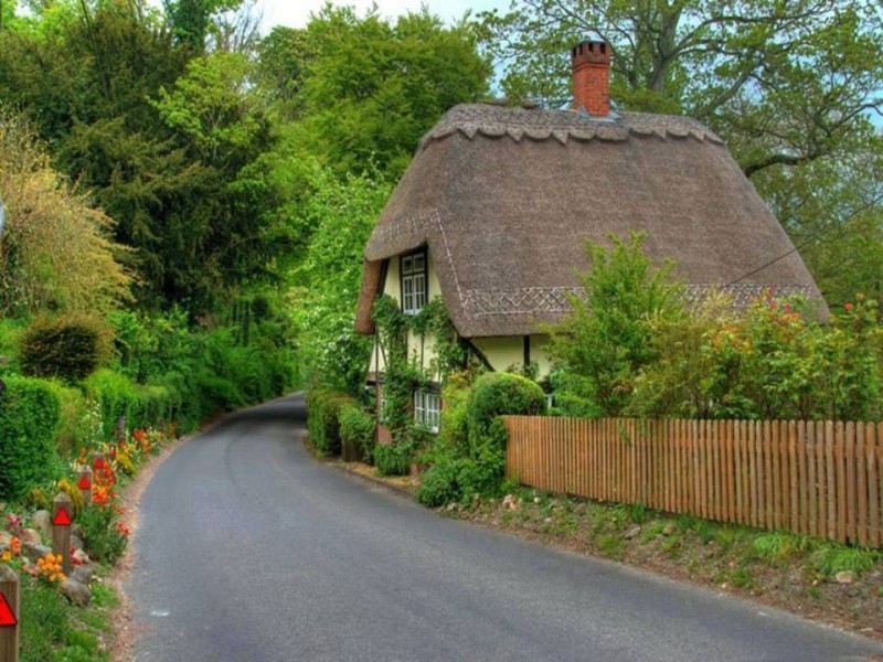 1450777_193427327670702_1575926244877284849_n