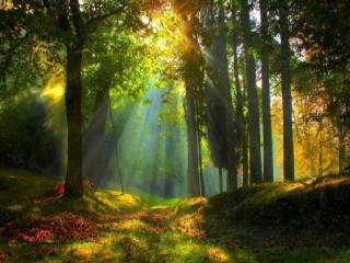 14938132_1122285361160263_5407498660931803056_n