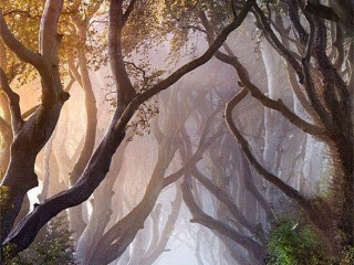 15178137_1774517336130954_4244373356800497880_n