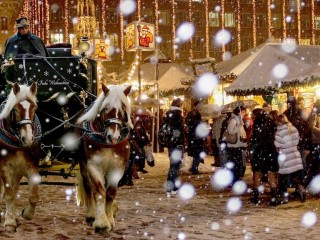 15384587_1113387248760369_2652243320062382024_o