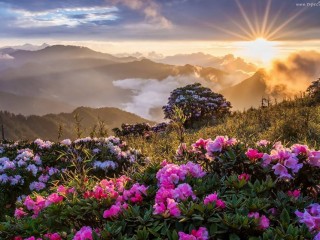 15400582_1118128794952881_2405732481541465896_n