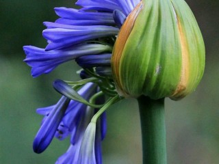 19989641_1206343922803514_2618576236440055055_n