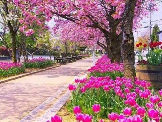 20604195_282193778930417_3736014151145851367_n