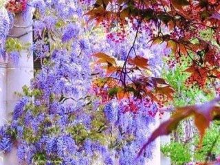 21077673_1439713266144450_5061700337321578376_n