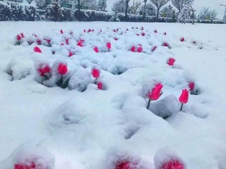 22050376_324045164745278_1002975215313063035_n