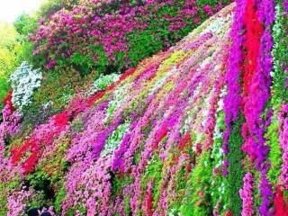 22813964_341993382950456_1180827936033992840_n