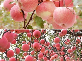 22814099_341866986296429_4283940765979198225_n