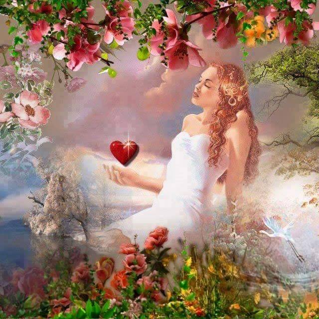 24900083_1440619586036291_1279480535998882849_n